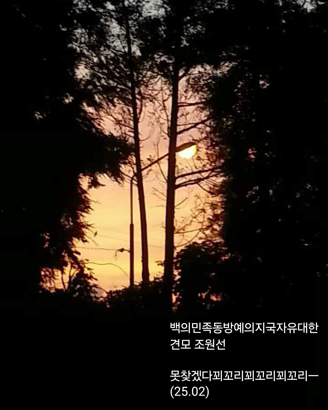 백의민족 이미지
