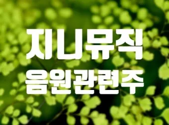 음원 대장주 관련주 TOP5_18