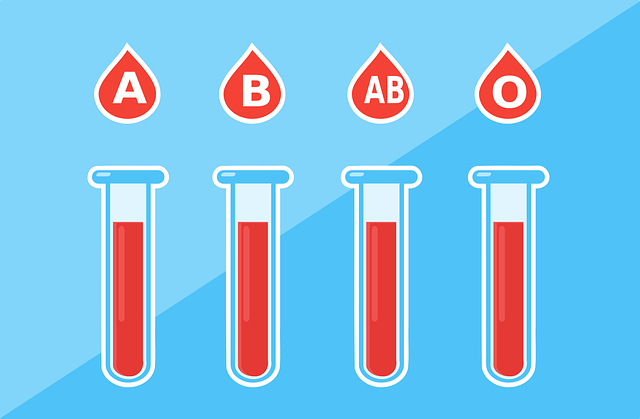 4개의-시험관에-각각-담긴-4가지-혈액형