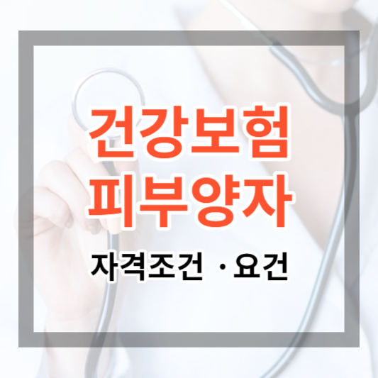  건강보험 피부양자 자격 조건 및 탈락 요건에 대하여 체크해 보세요. (2024년, 의료보험 피부양자 자격)
