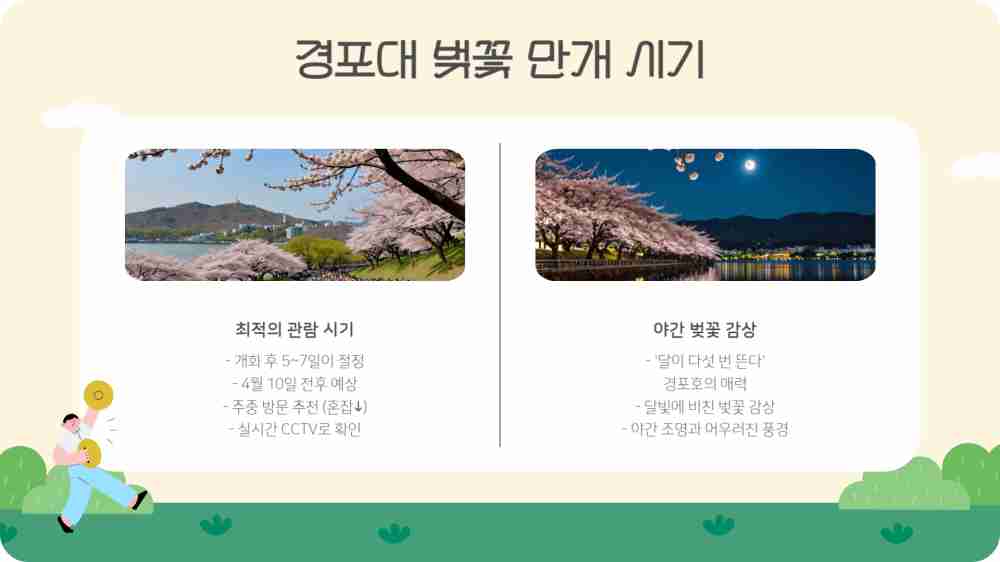 경포대 벚꽃 개화시기 개화상황 CCTV 확인하기