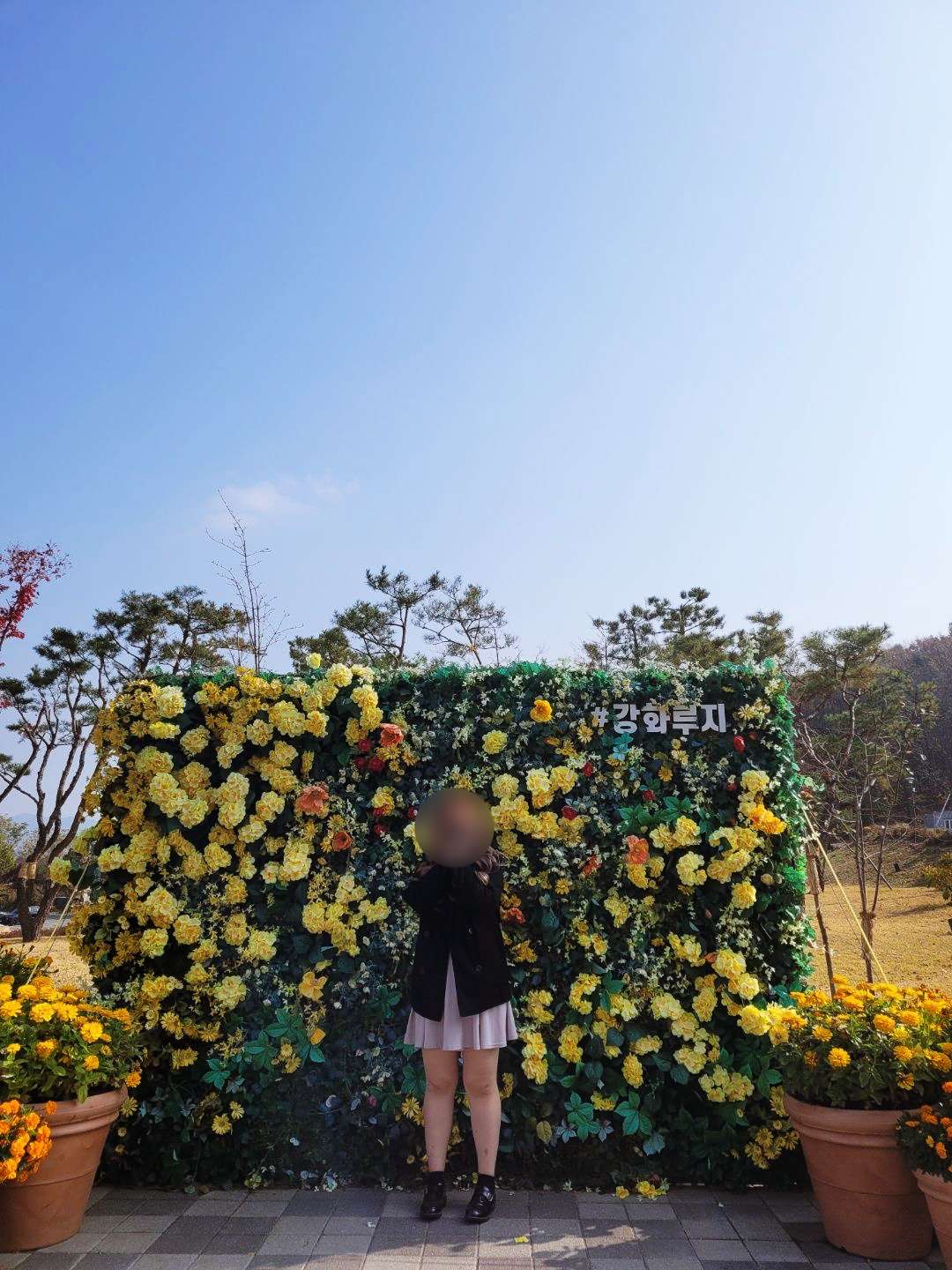 강화루지 꽃밭 포토존