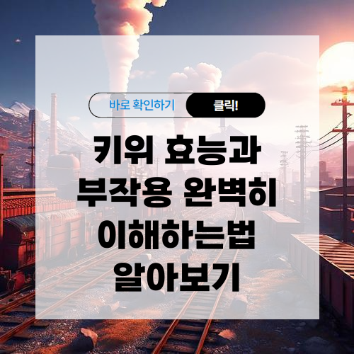 키위 효능과 부작용 알아보기