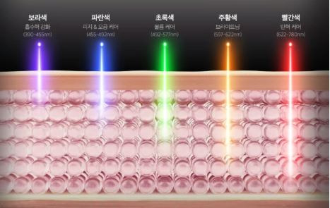 포커스하이 이미지