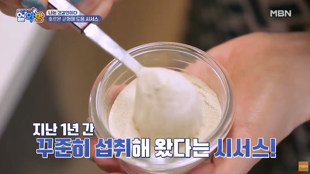  시서스 효능, 먹는법, 주의사항 총정리
