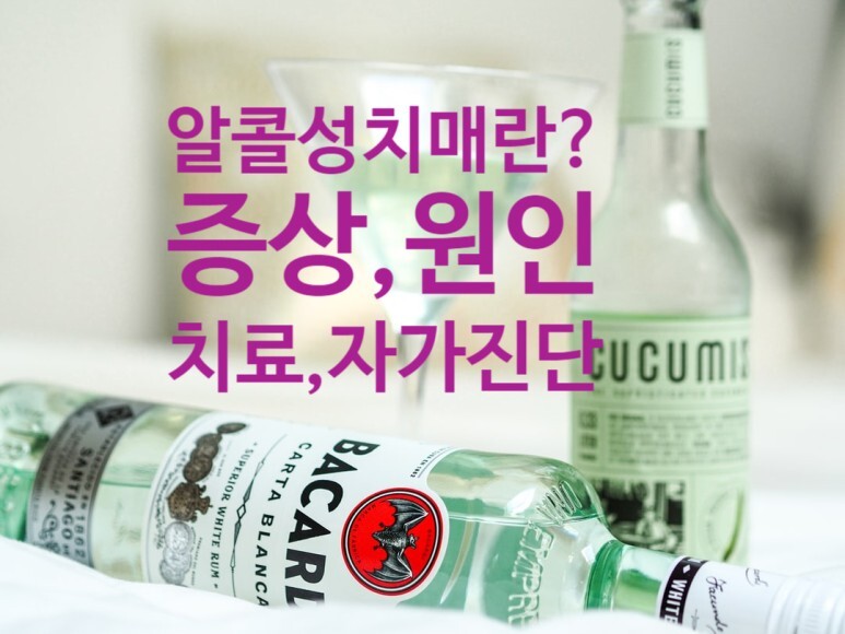  알코올성 치매란? 증상, 원인, 치료, 알콜성치매 자가 진단