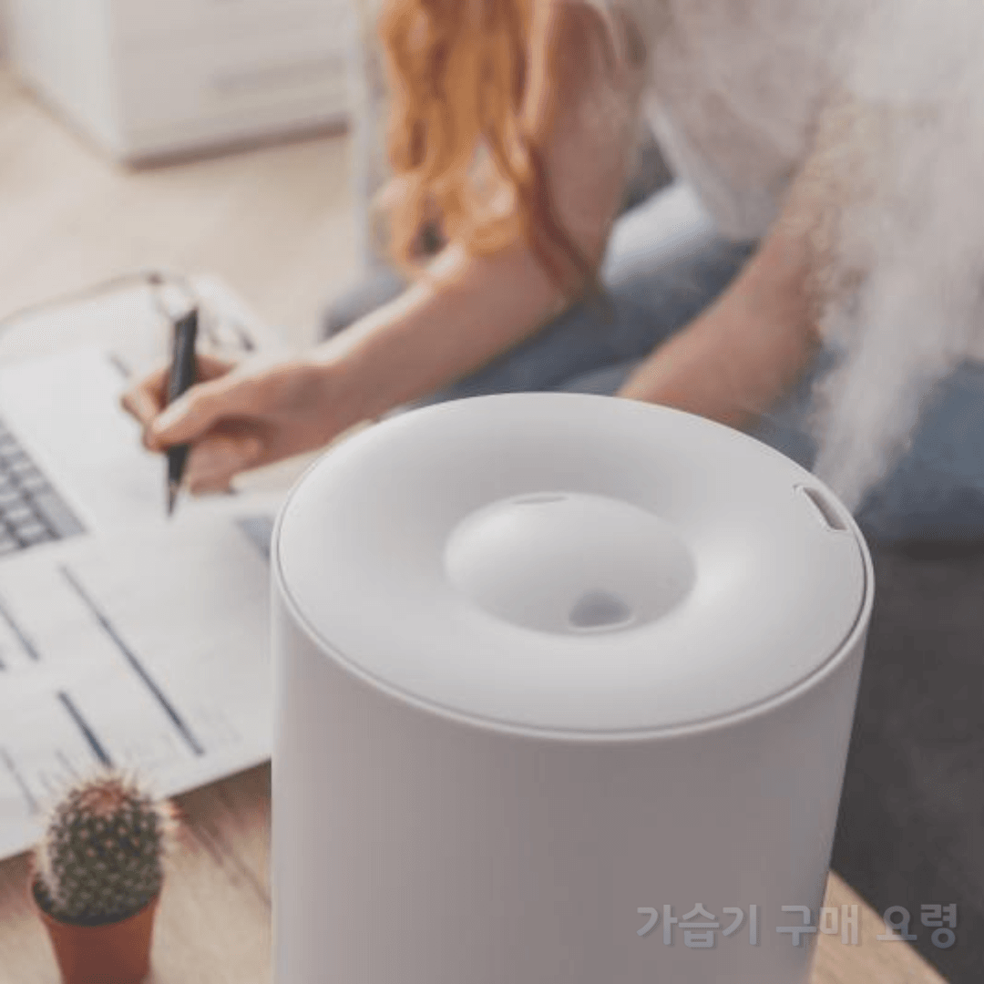 가습기 구매요령