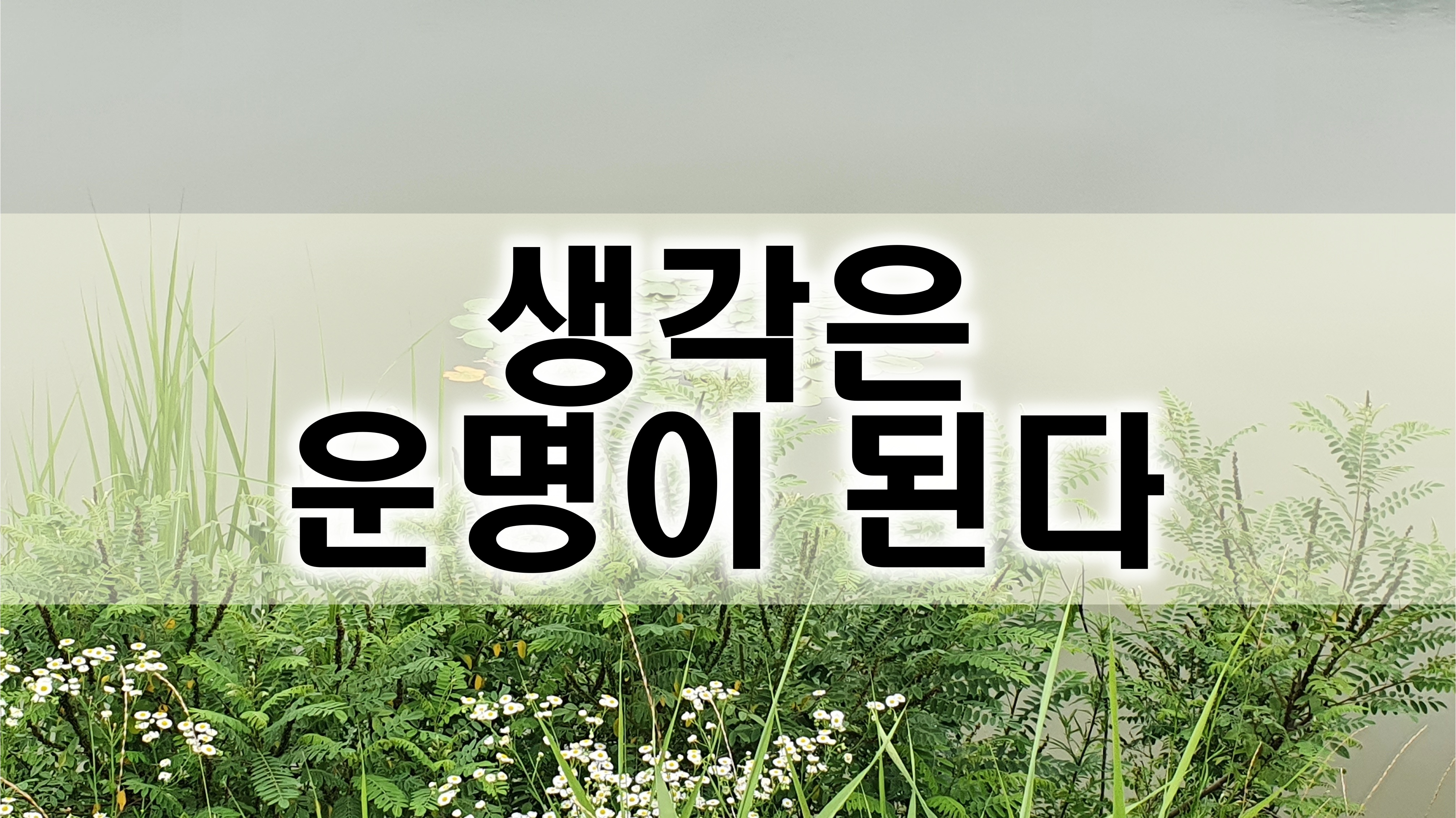  생각은 운명이 된다 [성장 명언]