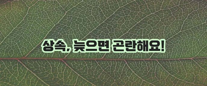 상속포기 절차 기한과 범위에 한계가 있다는 점을 알아두세요!