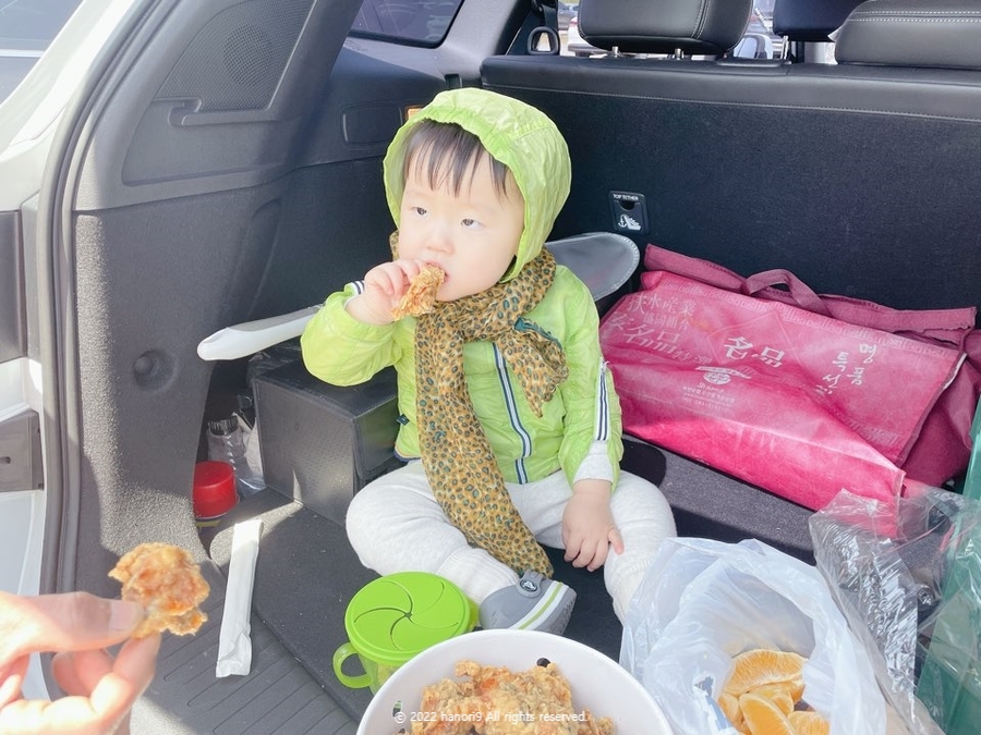 영산강 나주 유채꽃 나들이 16