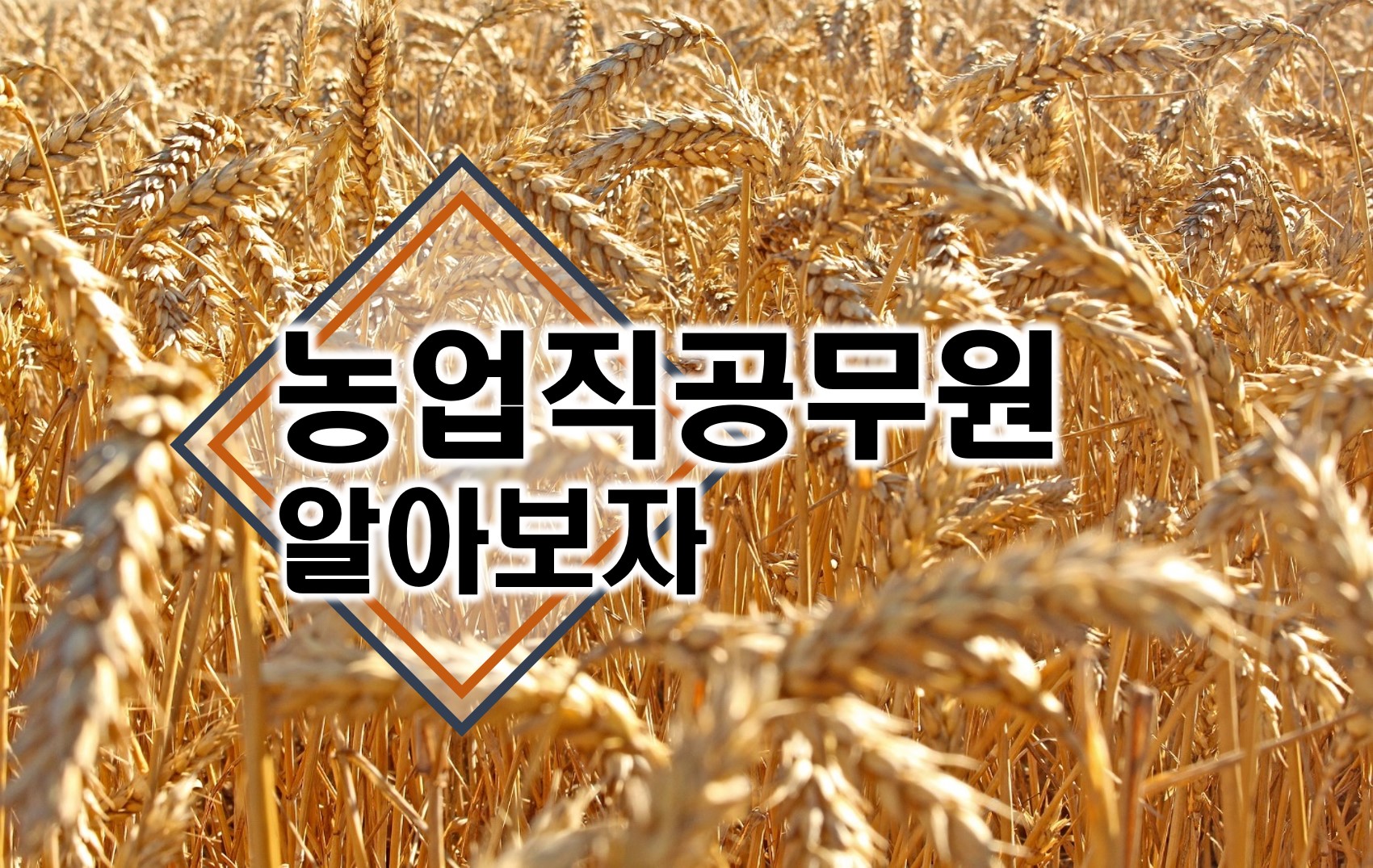  농업직공무원은 전망 밝은 직렬