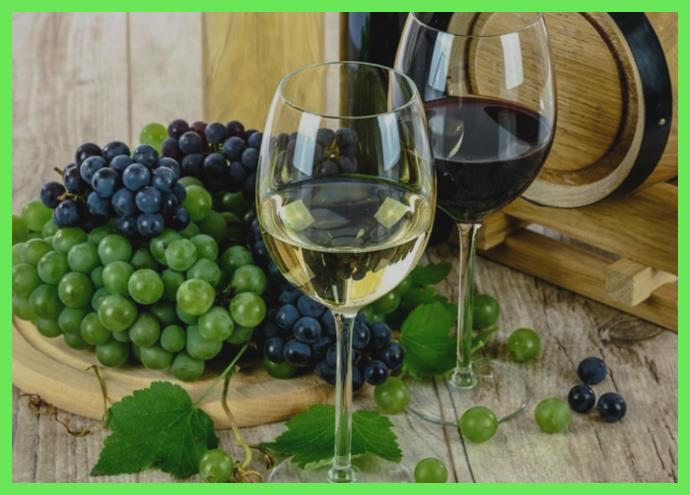 차의 건강을 되찾으면 지방간에 좋은 1