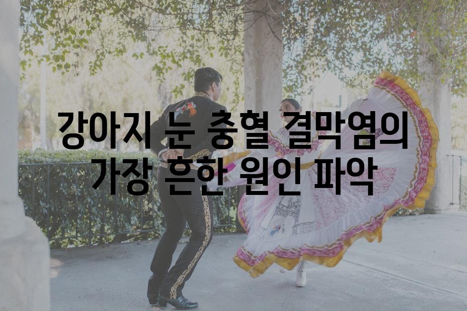 강아지 눈 충혈 결막염의 가장 흔한 원인 파악