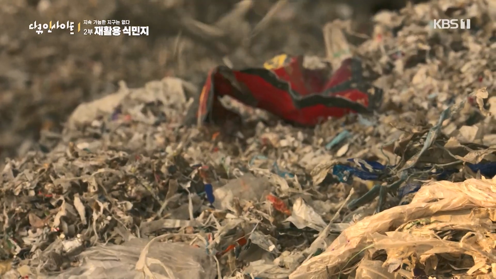 다큐 인사이트.E181.240118p.H264-F1RST.mp4_20240119_203133.094.jpg