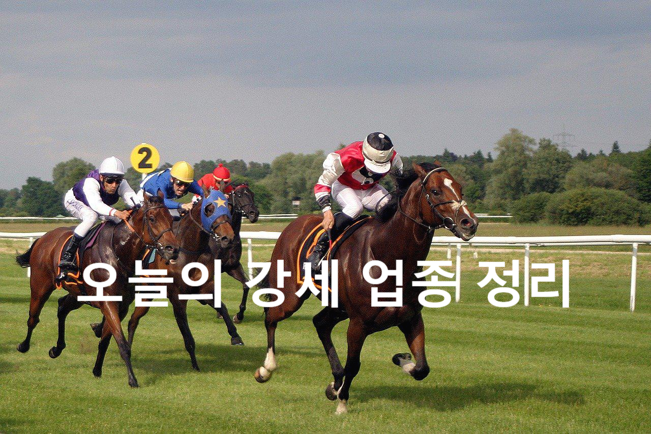 일등석유 이미지