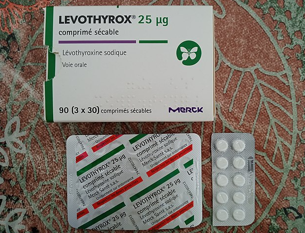 갑상선 기능 저하증 치료제 레보티록신(Levothyroxine)