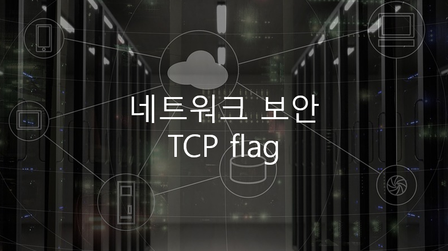  TCP flag(URG, ACK, PSH, RST, SYN, FIN)