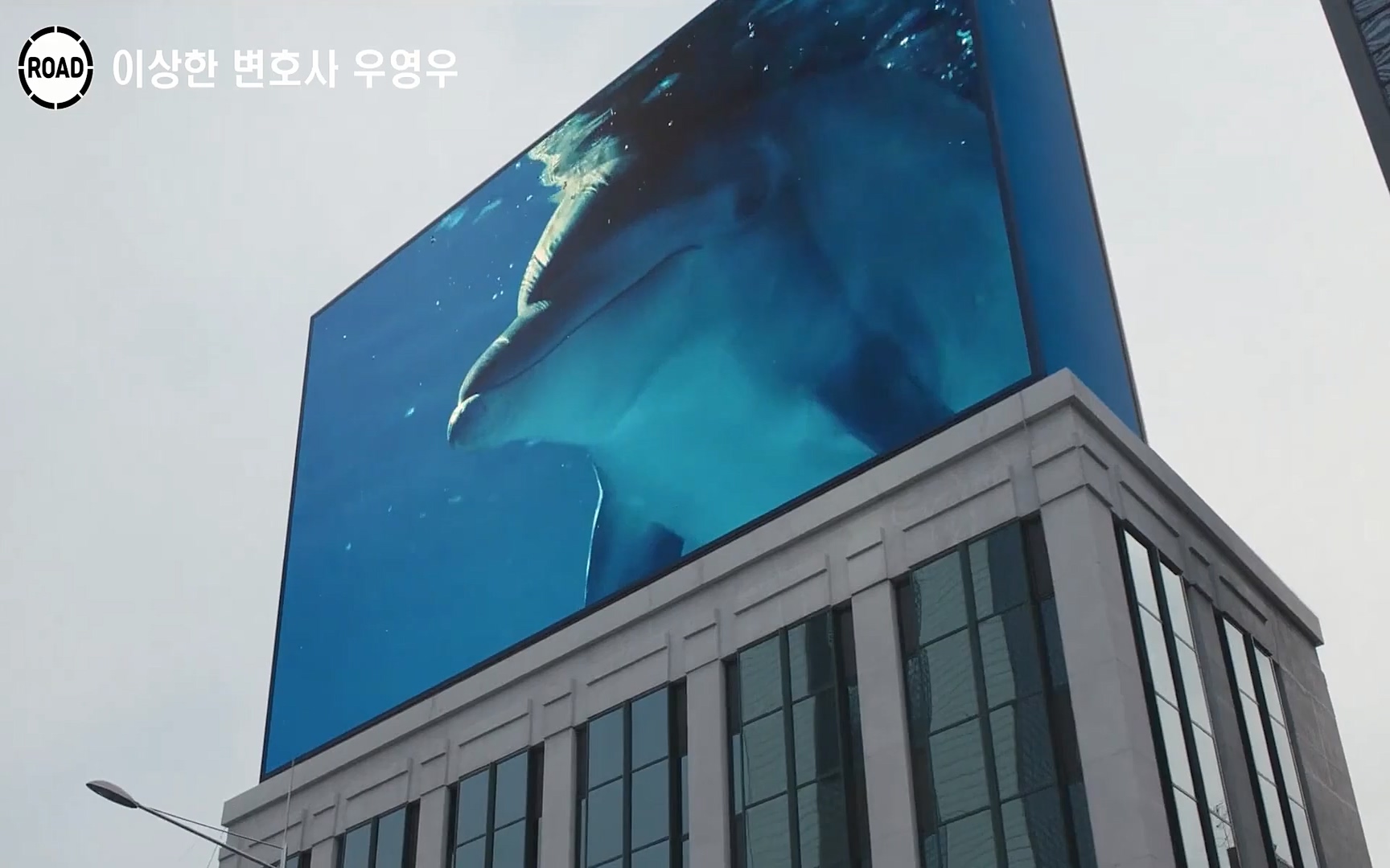 신선한 소재와 깔끔한 전개, 아름다운 결말로 시청율 신기록 세우며 전 세계인의 마음을 울린??이상한 변호사 우영우??시즌1, 《1~16화》 한방에 몰아보기.mp4_20220824_140925.803.jpg