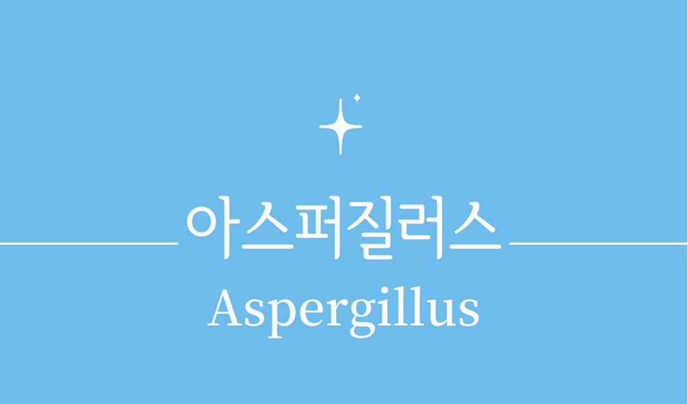 '아스퍼질러스(Aspergillus)'