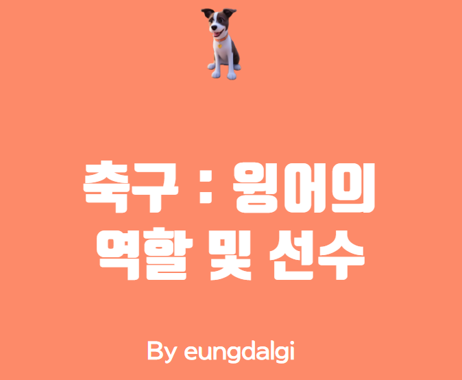  축구 : 윙어의 역할 및 특징(선수)