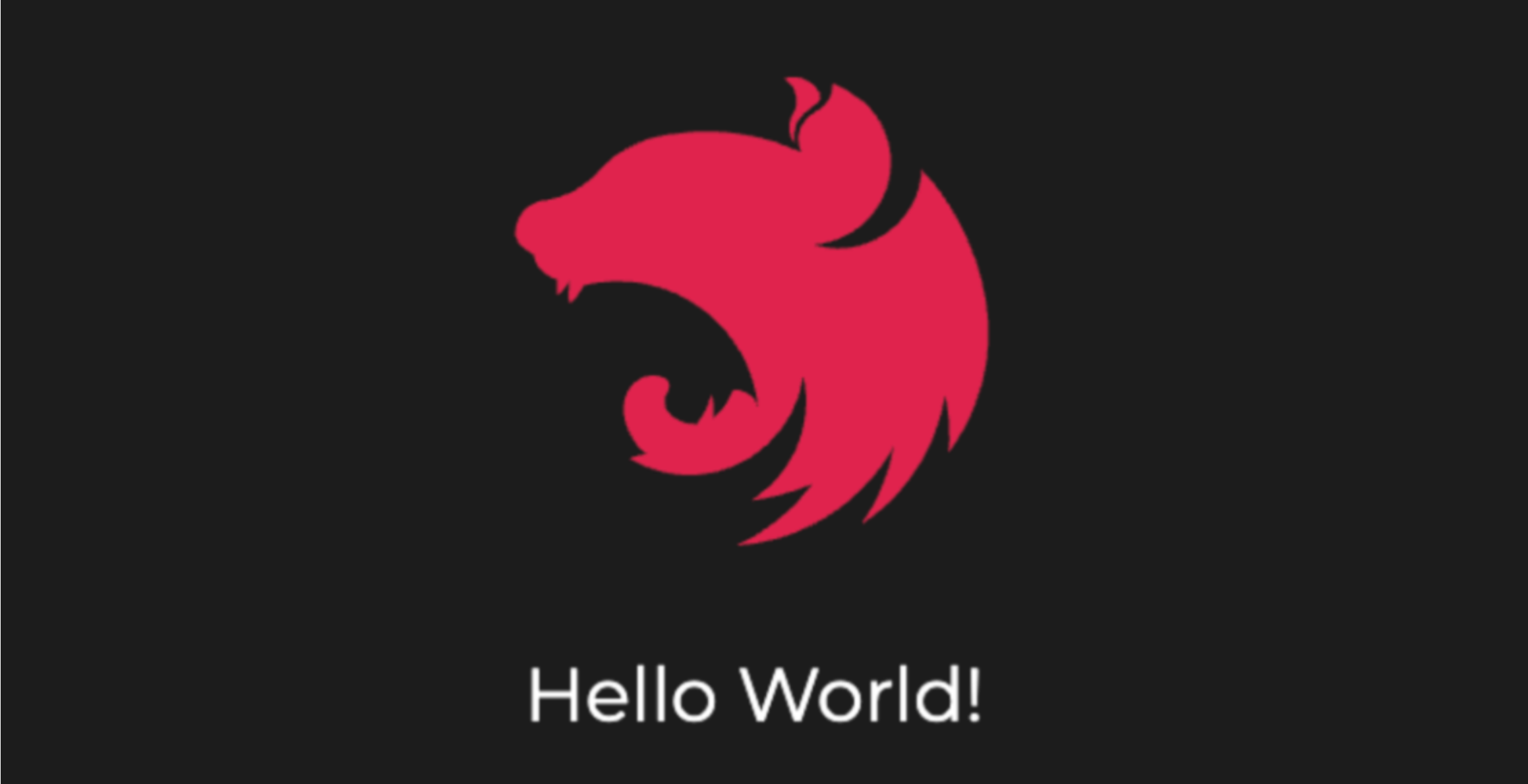  [Nest.JS] DTO vs Interface
