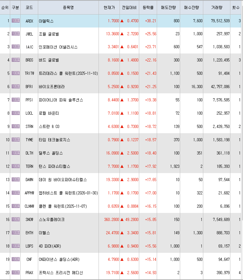  12월2일 미국주식 상승률 상위 종목 TOP 300