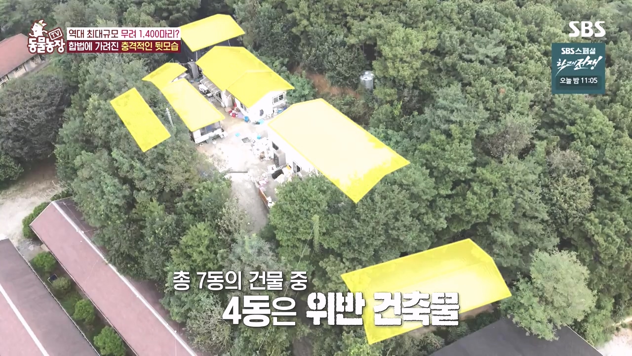 TV 동물농장.E1142.231023p-NEXT.mp4_20231022_172155.813.jpg