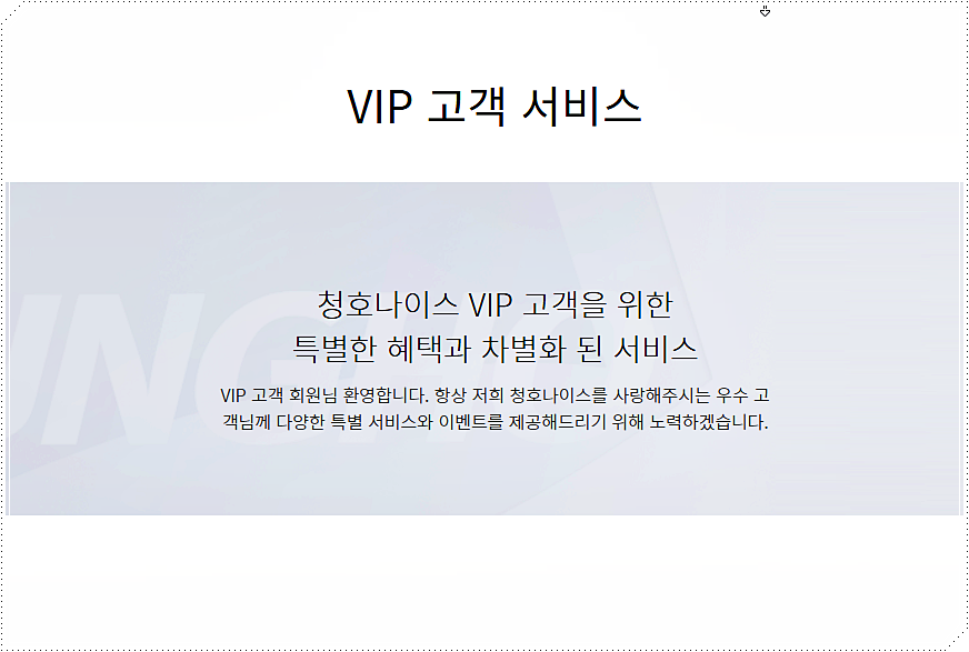 VIP 고객 서비스