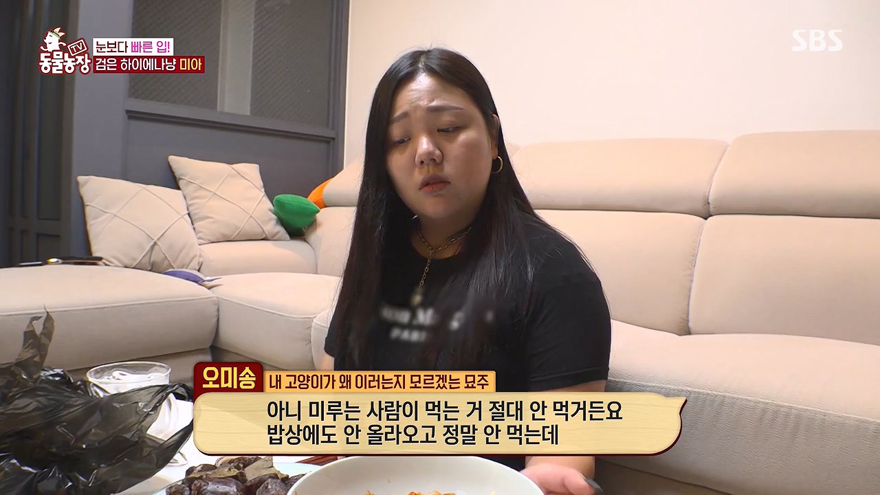 TV 동물농장.E1138.230918p-NEXT.mp4_20230917_174234.786.jpg