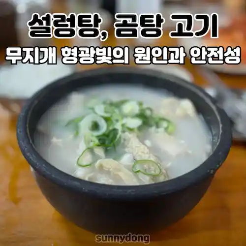 설렁탕, 곰탕 고기 무지개 형광빛의 원인과 안전성 썸네일