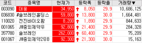  20.08.06 상한가 주식공부 (대웅/솔브레인/솔브레인홀딩스/전진바이오팜 등)