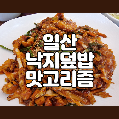  일산 웨돔맛집 낙지덮밥 잘하는 곳 맛고리즘