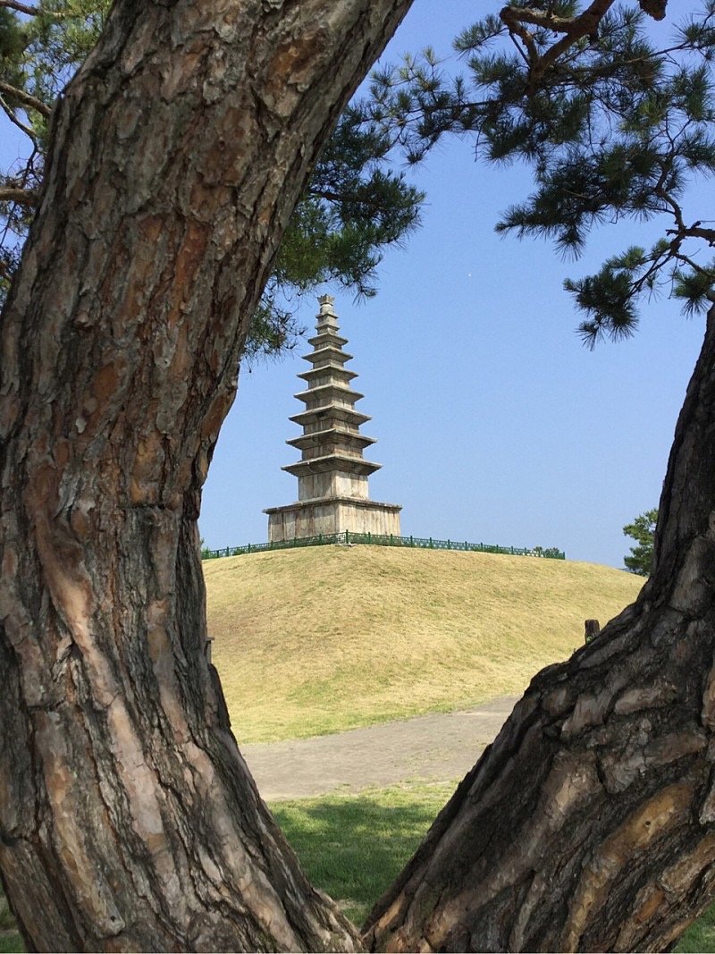  충주 탑평리 칠층석탑&먹거리
