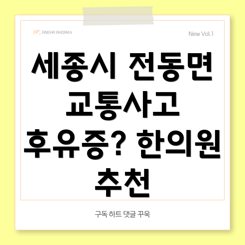 세종시 교통사고 한의원