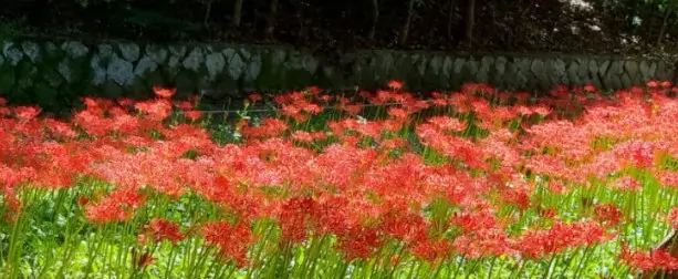 인천대공원