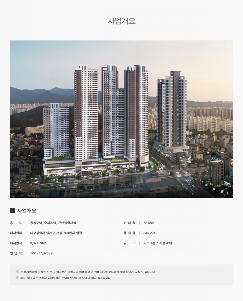 라디체 이미지