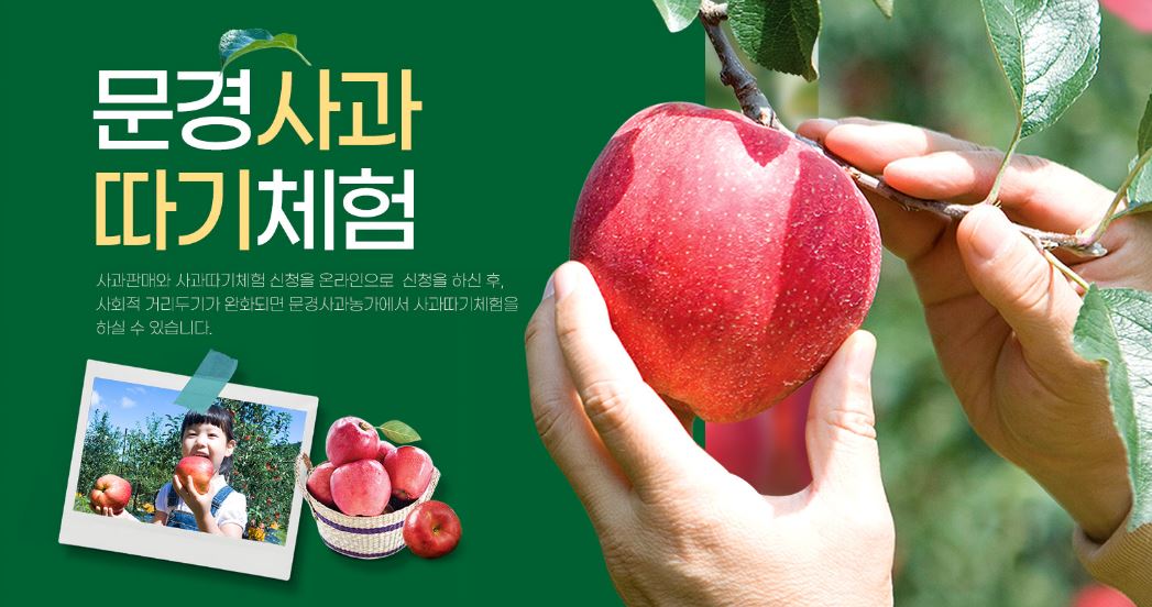 문경사과축제 : 기본정보 가수 축하공연 행사일정표 이벤트 안내