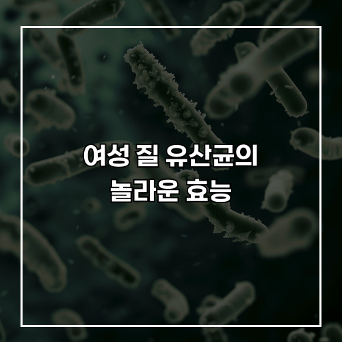 여성 질 유산균의 놀라운 효능