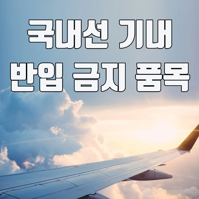  국내선 기내 반입 금지 품목 및 면세품 구입 물품 반입 기준
