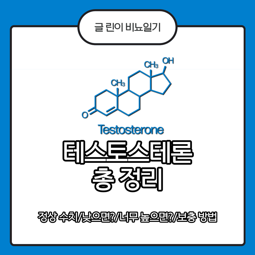  테스토스테론 총 정리