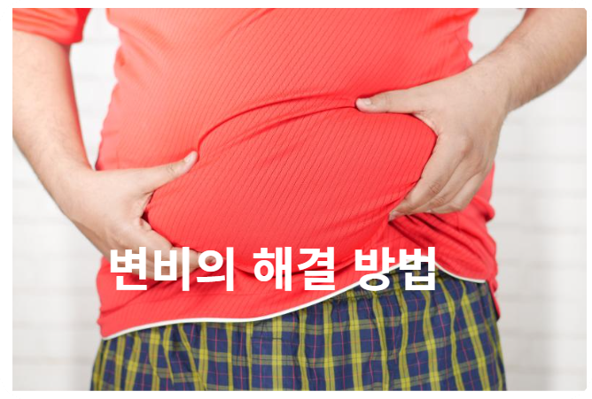 변비 해결 방법