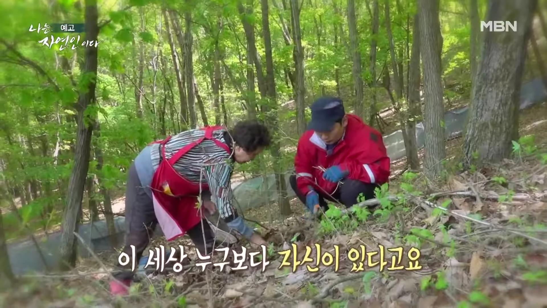 나는 자연인이다 쓰러진 막내딸 기적 만든 후 이젠 천국 떠나보낸 고마워요 엄마 자연인 구자순 소개 및 이승윤 출연 554회 다시보기