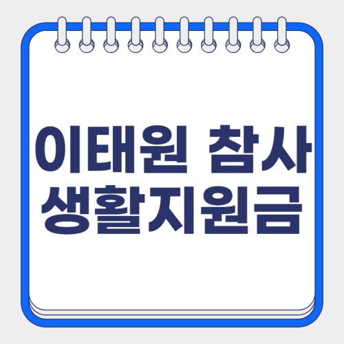 이태원 참사 생활지원금