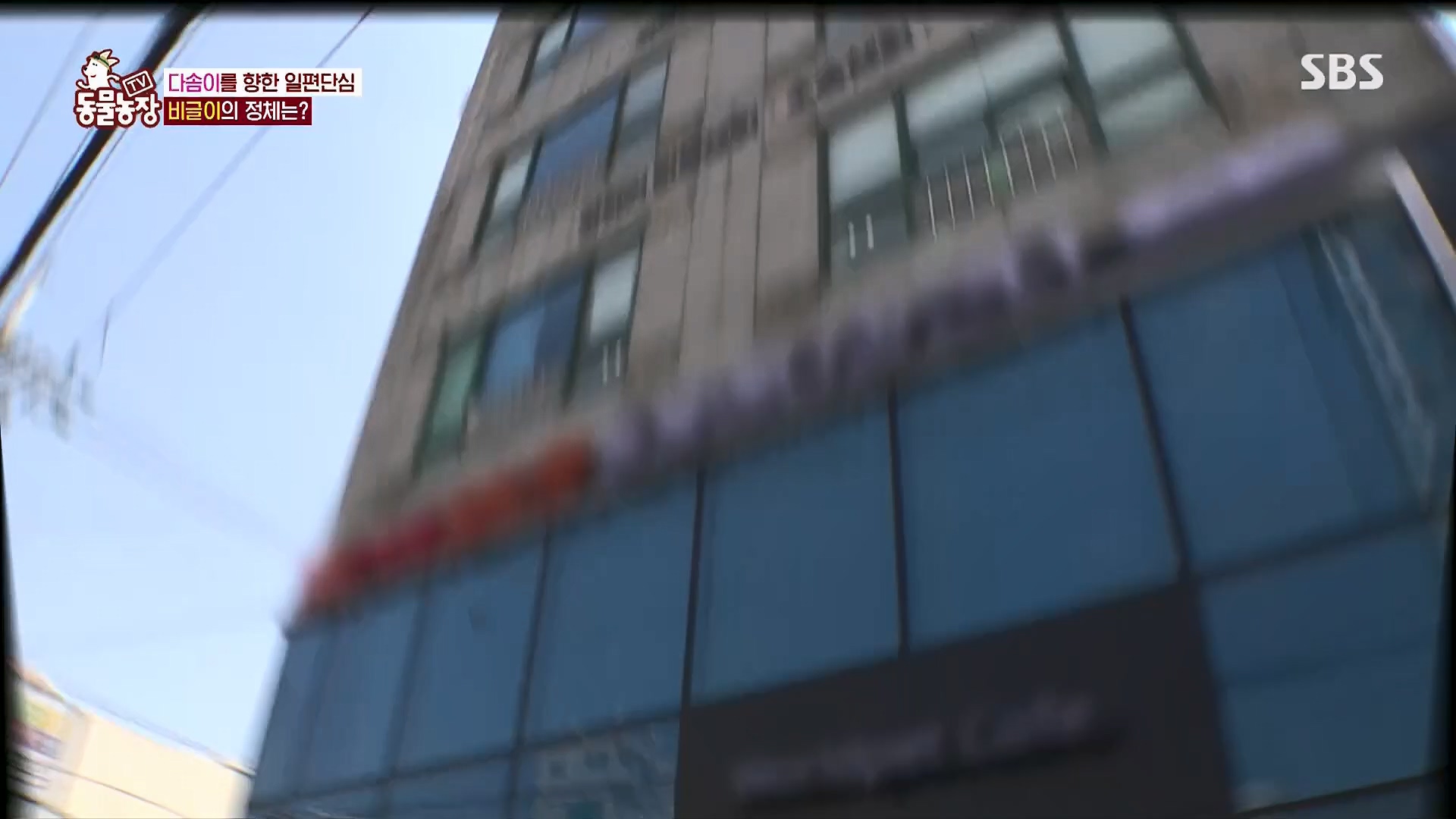 TV 동물농장.E1119.230507p.H264-F1RST.mp4_20230507_135904.816.jpg