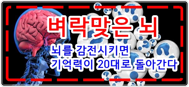  뇌를 감전시키면 노인들의 기억력이 20대로 복원됩니다.
