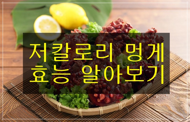  3대 저칼로리 수산물 멍게, 멍게 효능, 멍게 부작용, 멍게 전설