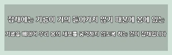  잡채에는 기름이 거의 들어가지 않기 때문에 몸에 있는 기름을 빼내어 우리 몸의 세포를 공격하지 않도록 하는 것이 잡채입니다