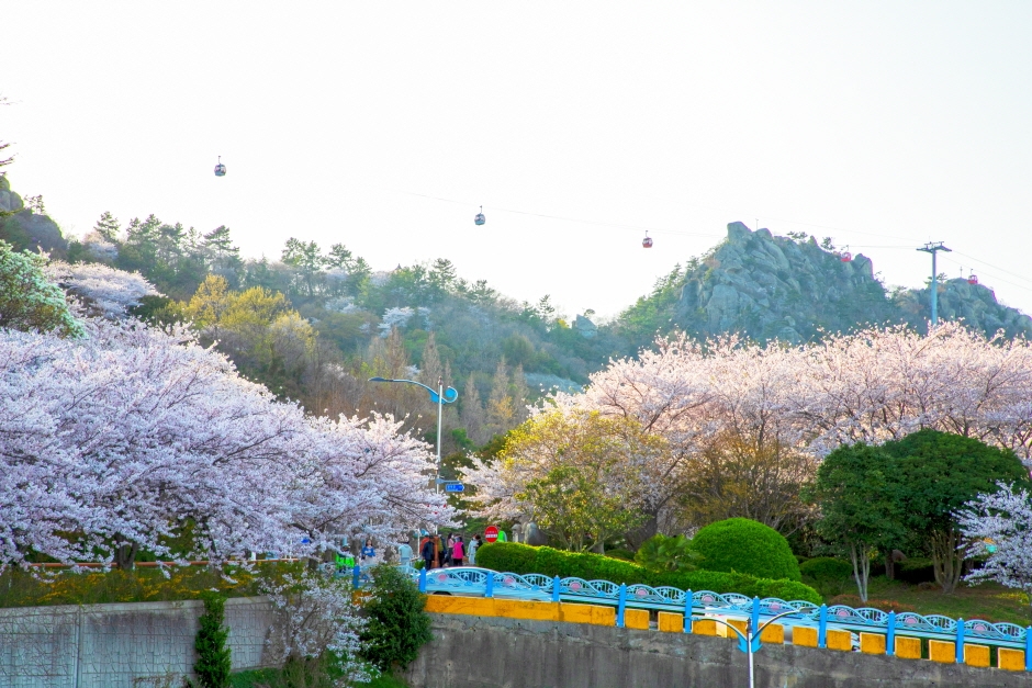 유달산-봄축제