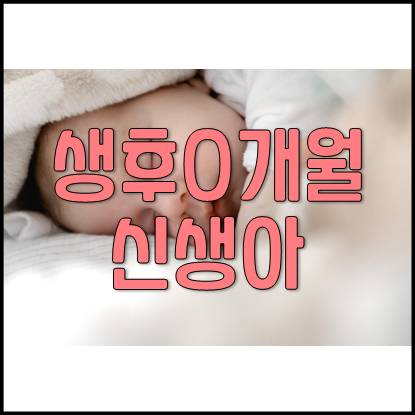  생후 0개월 신생아 아기 성장 발달 과정 및 육아(모유,분유,목욕,기저귀)