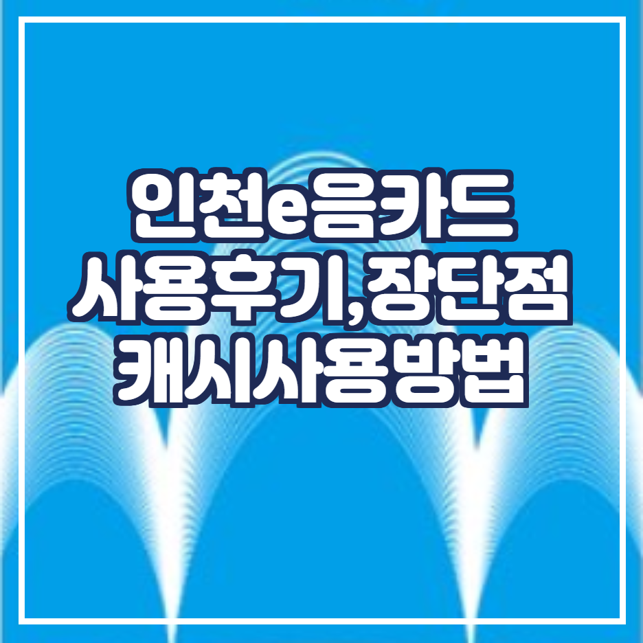  인천이음카드(미추홀구) 사용후기,캐시사용방법,장단점